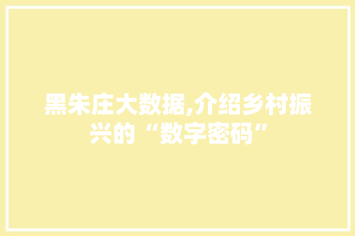 黑朱庄大数据,介绍乡村振兴的“数字密码” 网站优化