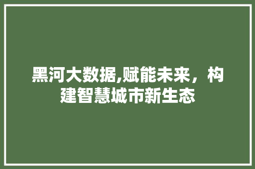 黑河大数据,赋能未来，构建智慧城市新生态
