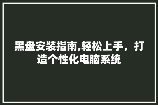 黑盘安装指南,轻松上手，打造个性化电脑系统