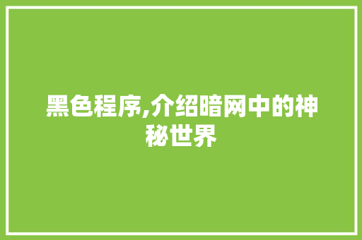 黑色程序,介绍暗网中的神秘世界 seo技术