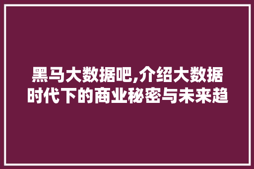 黑马大数据吧,介绍大数据时代下的商业秘密与未来趋势