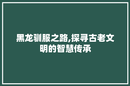 黑龙驯服之路,探寻古老文明的智慧传承
