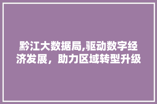 黔江大数据局,驱动数字经济发展，助力区域转型升级 网站开发