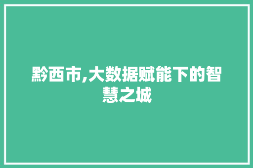 黔西市,大数据赋能下的智慧之城