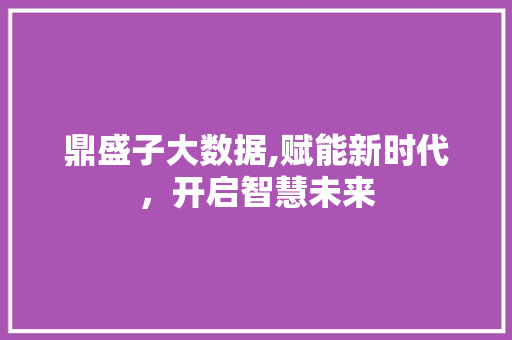 鼎盛子大数据,赋能新时代，开启智慧未来 网站开发
