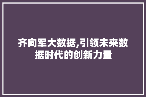 齐向军大数据,引领未来数据时代的创新力量 搜狗优化