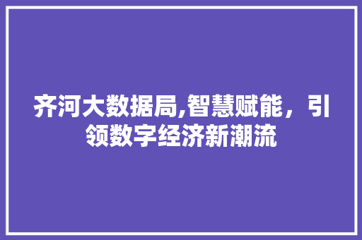 齐河大数据局,智慧赋能，引领数字经济新潮流