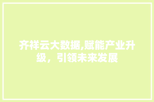 齐祥云大数据,赋能产业升级，引领未来发展 英文谷歌算法