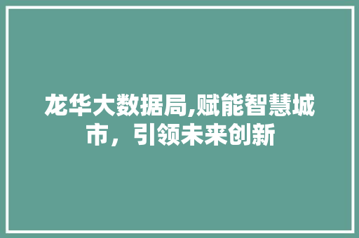 龙华大数据局,赋能智慧城市，引领未来创新