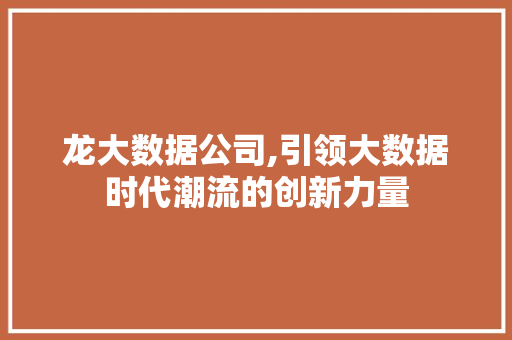龙大数据公司,引领大数据时代潮流的创新力量