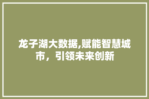 龙子湖大数据,赋能智慧城市，引领未来创新