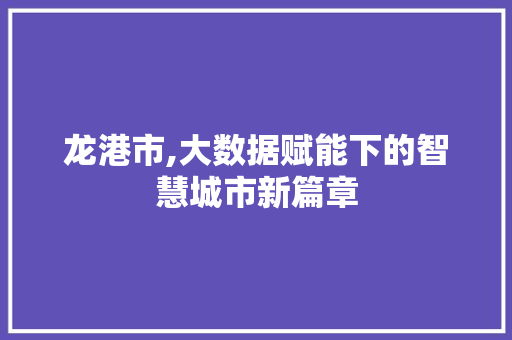 龙港市,大数据赋能下的智慧城市新篇章