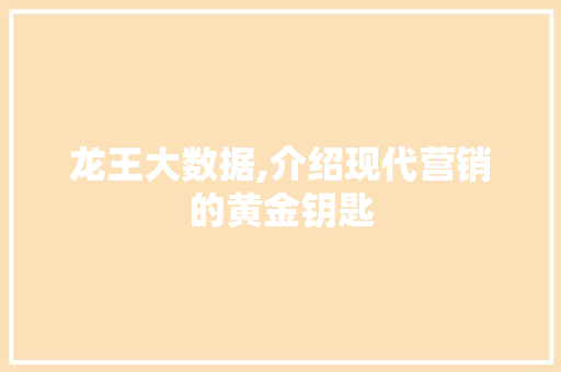 龙王大数据,介绍现代营销的黄金钥匙 网站开发