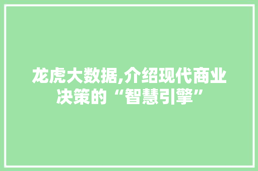 龙虎大数据,介绍现代商业决策的“智慧引擎” 头条优化