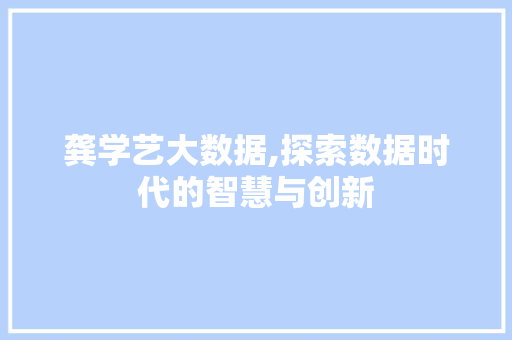 龚学艺大数据,探索数据时代的智慧与创新 360搜优化