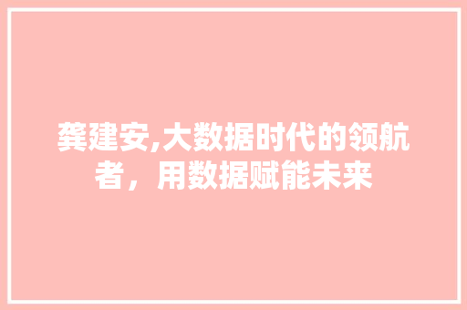 龚建安,大数据时代的领航者，用数据赋能未来