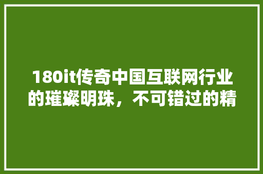 180it传奇中国互联网行业的璀璨明珠，不可错过的精彩故事！