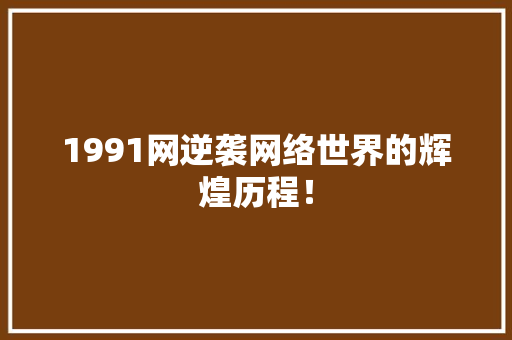 1991网逆袭网络世界的辉煌历程！