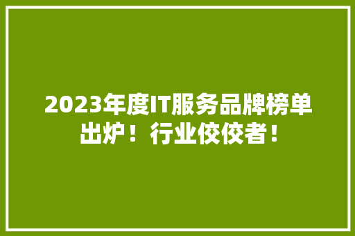 2023年度IT服务品牌榜单出炉！行业佼佼者！