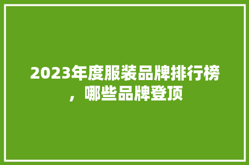 2023年度服装品牌排行榜，哪些品牌登顶