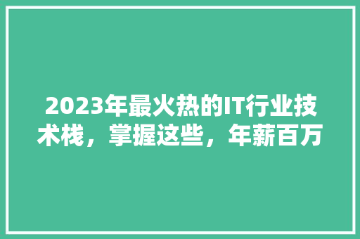 2023年最火热的IT行业技术栈，掌握这些，年薪百万不是梦！