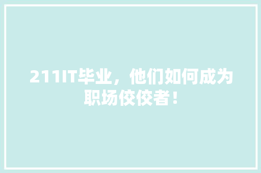 211IT毕业，他们如何成为职场佼佼者！