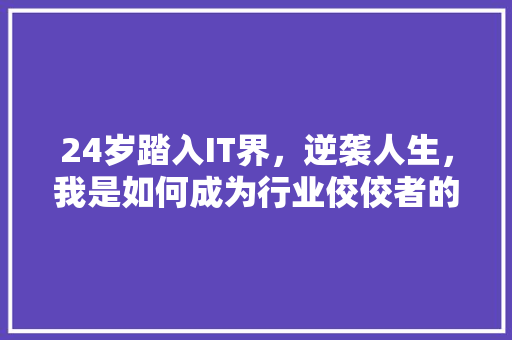 24岁踏入IT界，逆袭人生，我是如何成为行业佼佼者的 头条优化