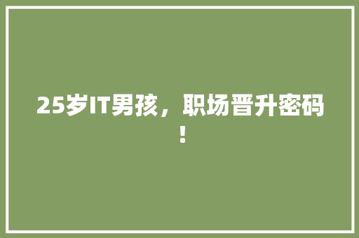 25岁IT男孩，职场晋升密码！