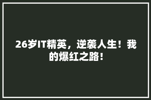 26岁IT精英，逆袭人生！我的爆红之路！ 360搜优化