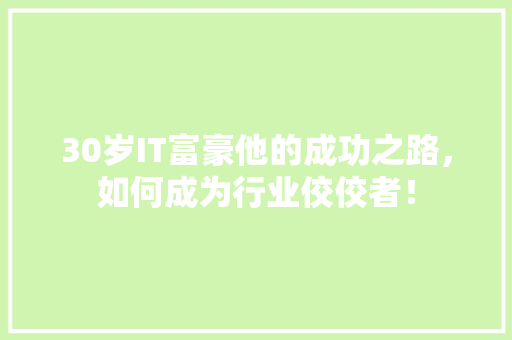 30岁IT富豪他的成功之路，如何成为行业佼佼者！