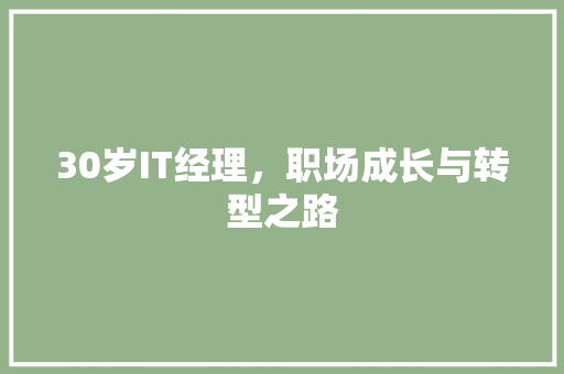 30岁IT经理，职场成长与转型之路