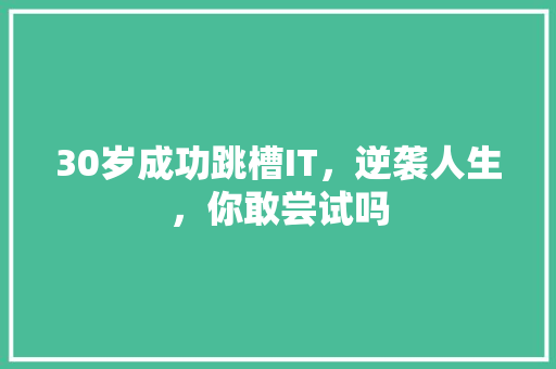 30岁成功跳槽IT，逆袭人生，你敢尝试吗
