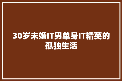 30岁未婚IT男单身IT精英的孤独生活