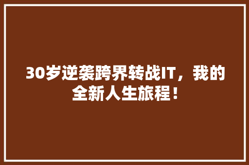 30岁逆袭跨界转战IT，我的全新人生旅程！