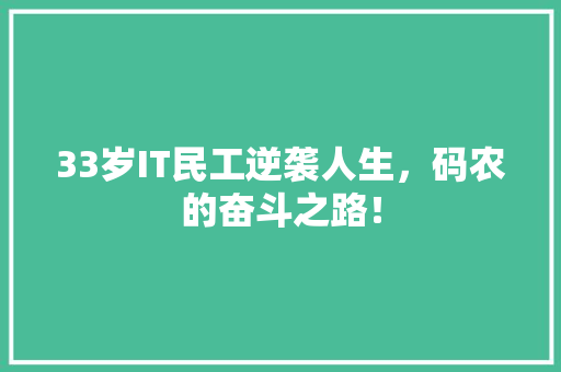 33岁IT民工逆袭人生，码农的奋斗之路！