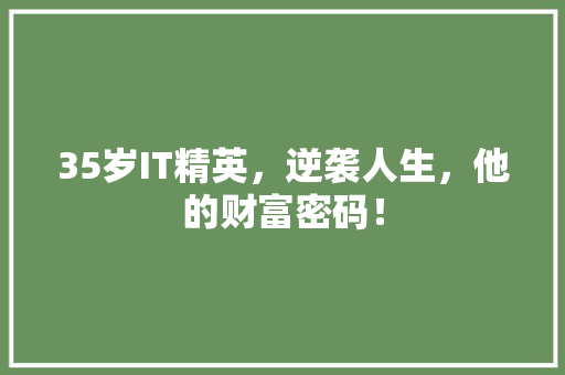 35岁IT精英，逆袭人生，他的财富密码！