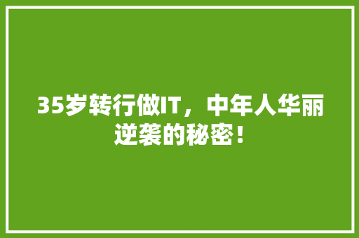 35岁转行做IT，中年人华丽逆袭的秘密！