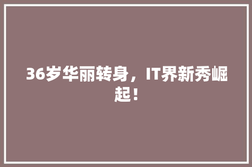 36岁华丽转身，IT界新秀崛起！