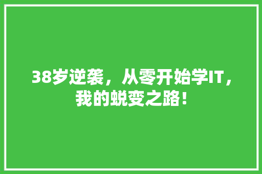 38岁逆袭，从零开始学IT，我的蜕变之路！