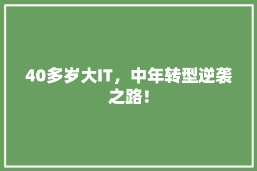 40多岁大IT，中年转型逆袭之路！
