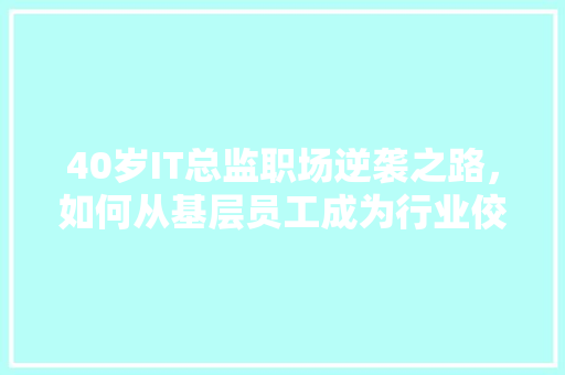 40岁IT总监职场逆袭之路，如何从基层员工成为行业佼佼者
