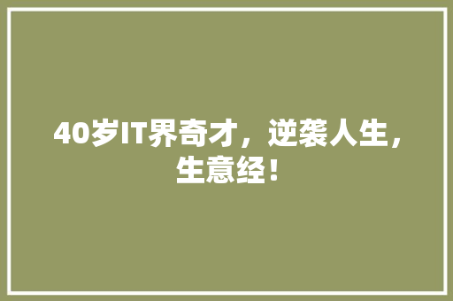 40岁IT界奇才，逆袭人生，生意经！