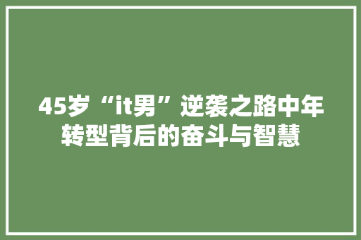 45岁“it男”逆袭之路中年转型背后的奋斗与智慧