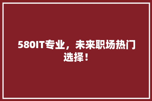 580IT专业，未来职场热门选择！