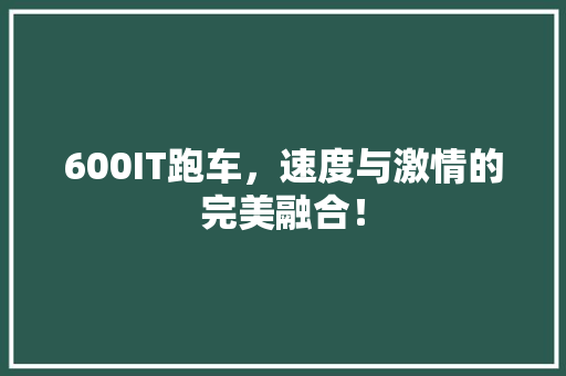 600IT跑车，速度与激情的完美融合！