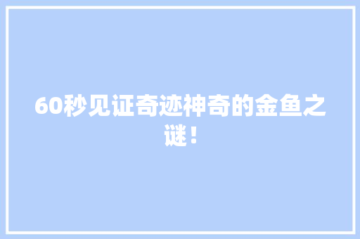 60秒见证奇迹神奇的金鱼之谜！ 百度算法