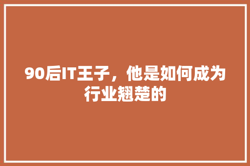 90后IT王子，他是如何成为行业翘楚的 seo技术