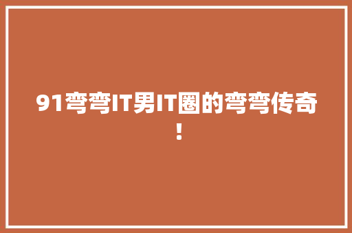 91弯弯IT男IT圈的弯弯传奇！ 360搜优化