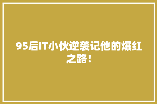 95后IT小伙逆袭记他的爆红之路！