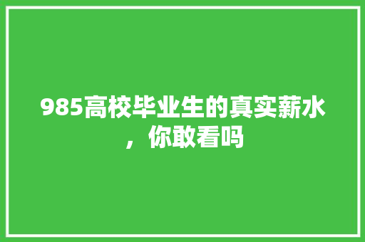 985高校毕业生的真实薪水，你敢看吗